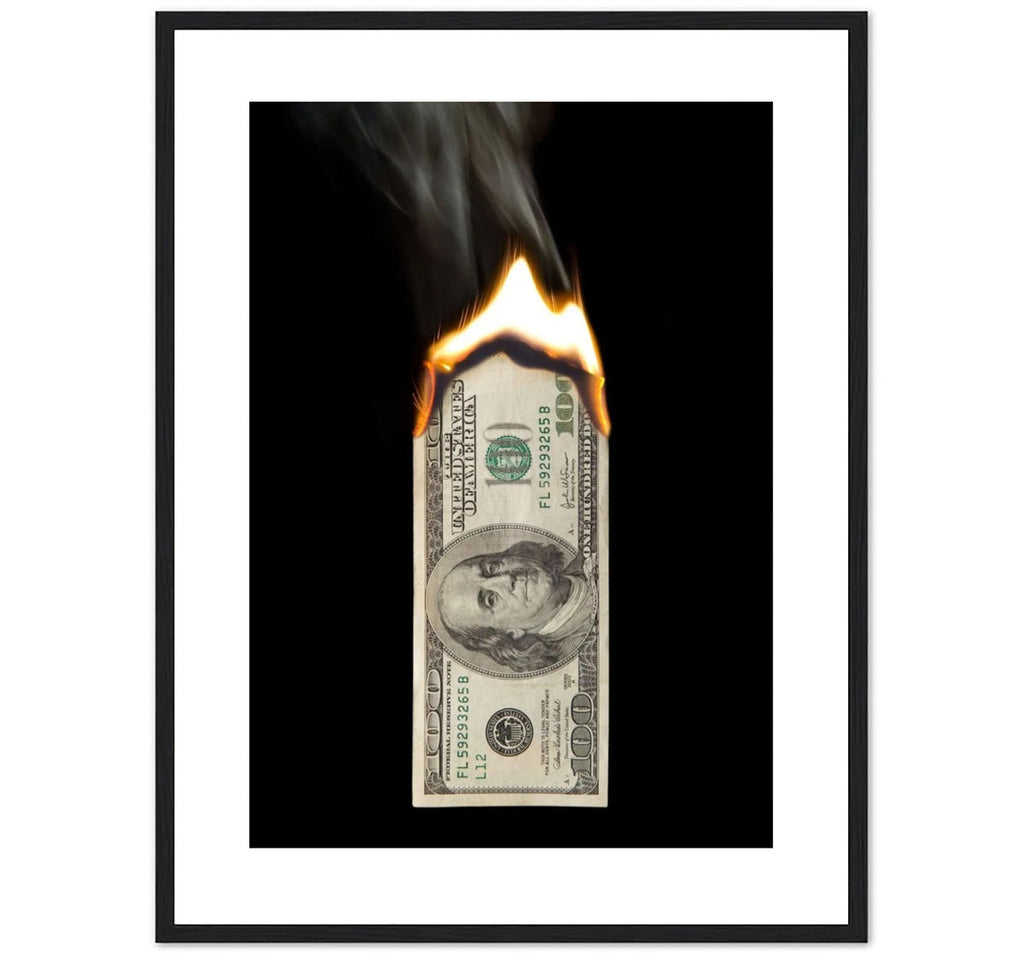 BURN DOLLAR