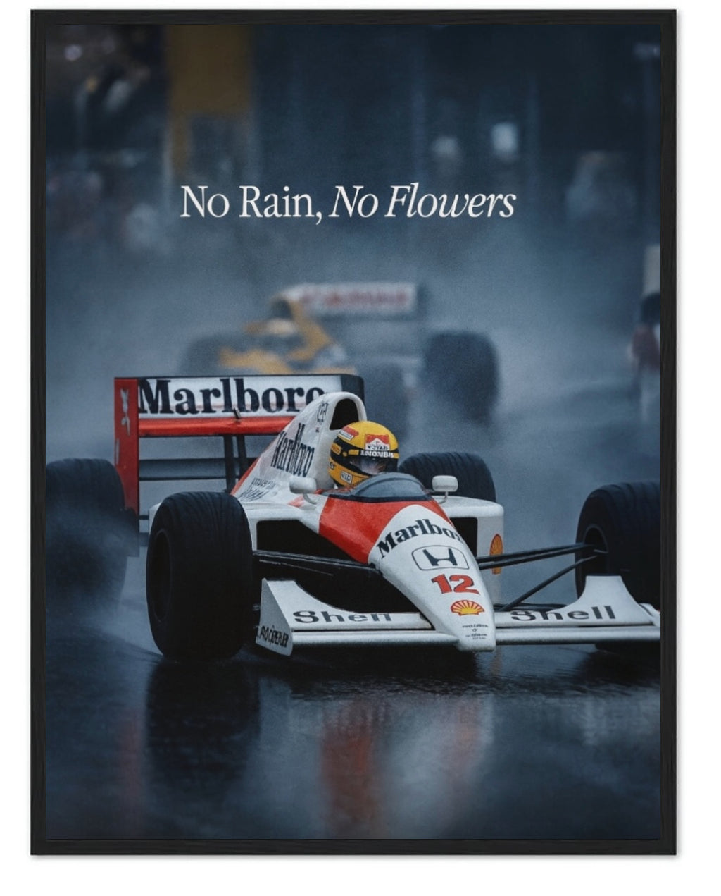 NO RAIN, NO FLOWERS -F1