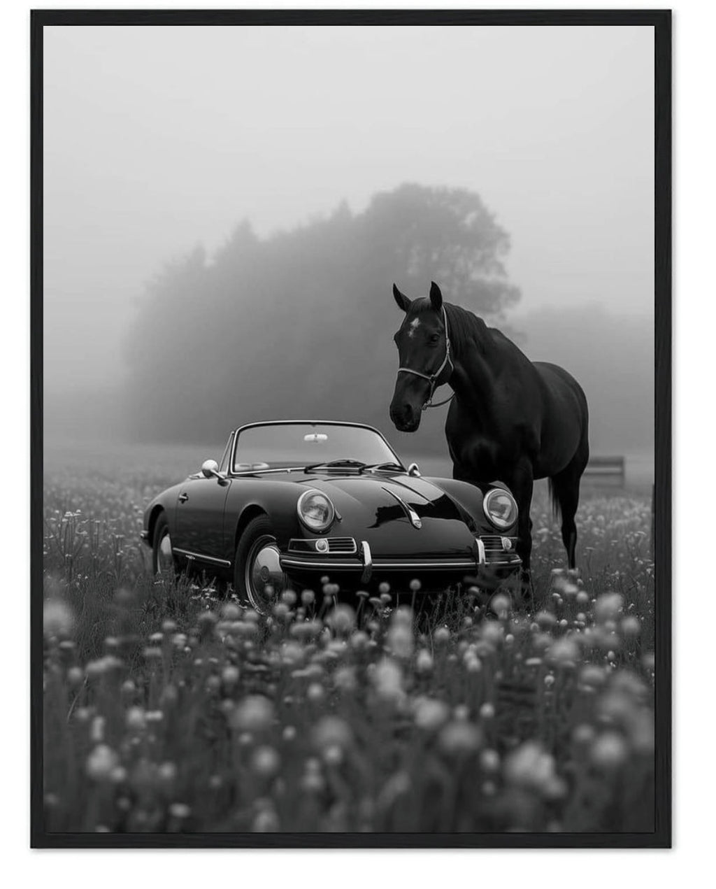 HORSE AND CAR