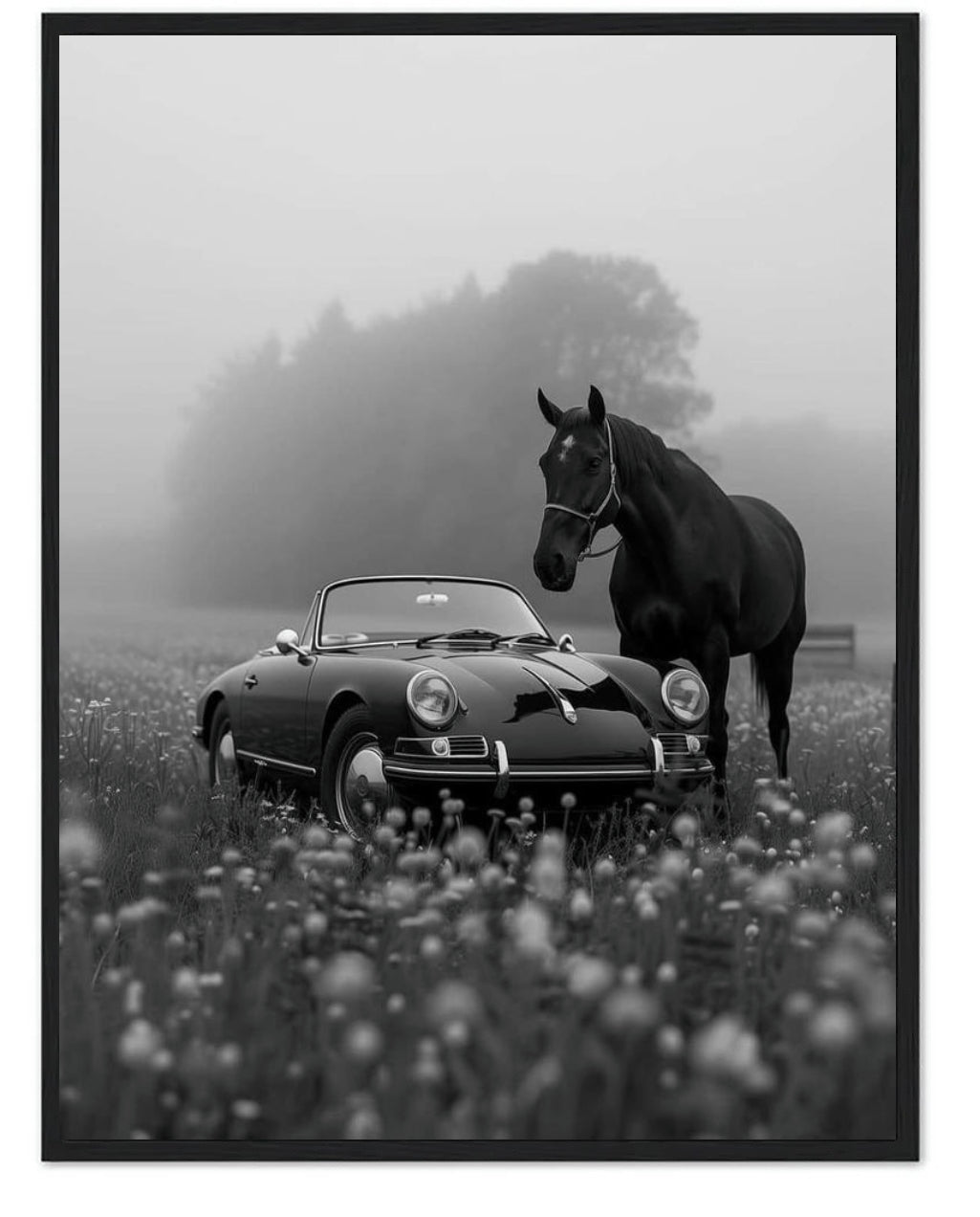 HORSE AND CAR