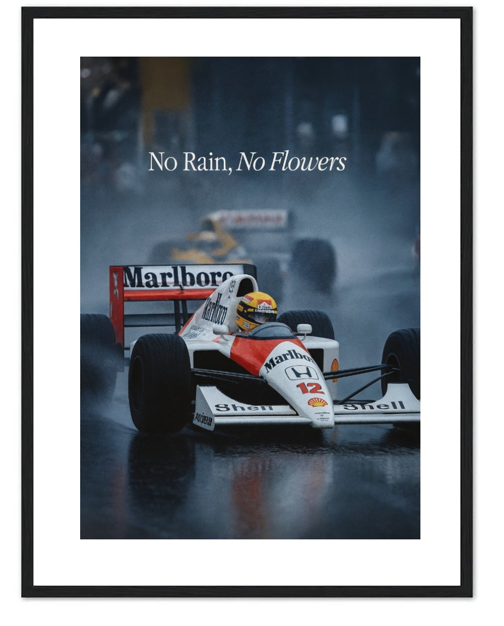 NO RAIN, NO FLOWERS -F1