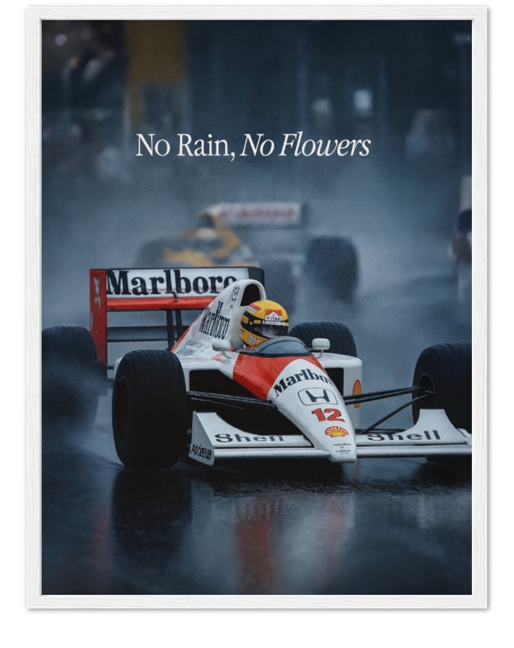 NO RAIN, NO FLOWERS -F1