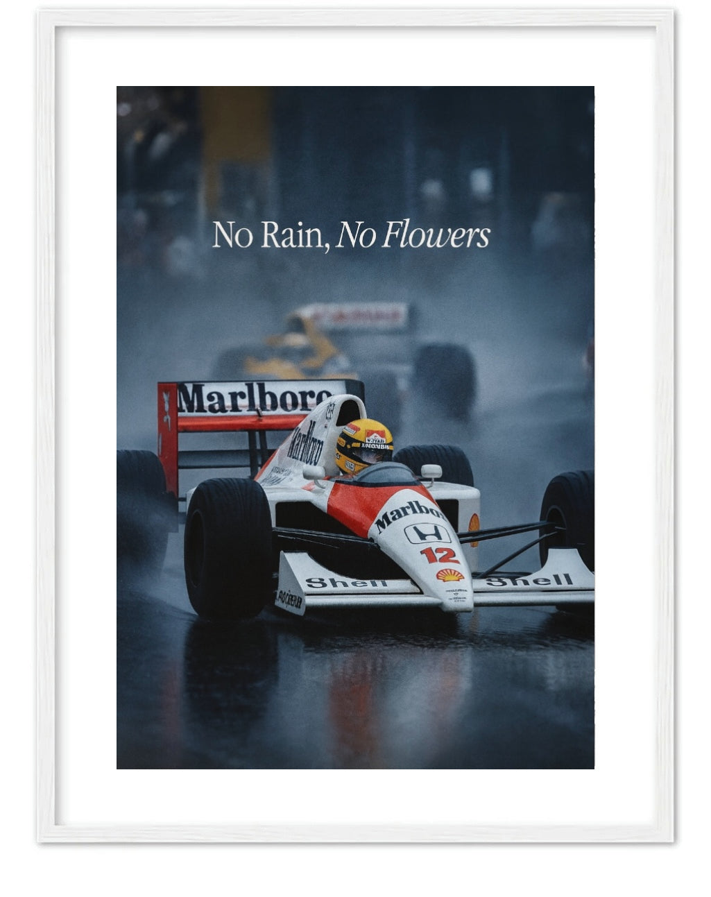 NO RAIN, NO FLOWERS -F1