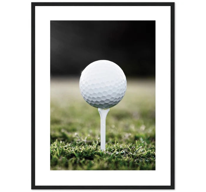 GOLF - BALL