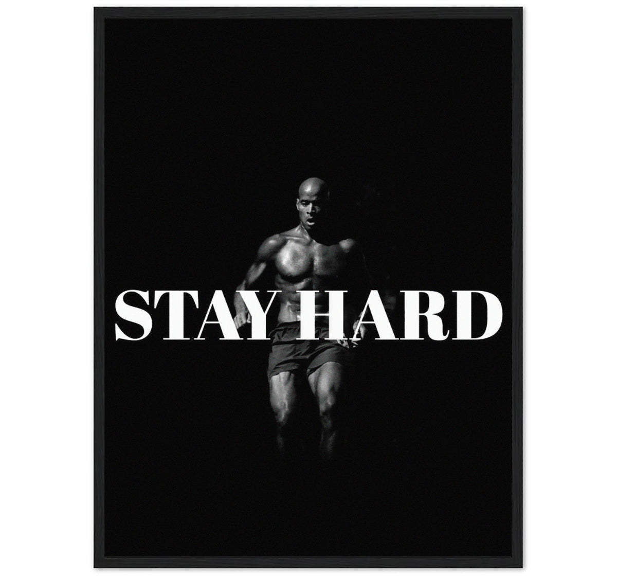 STAY HARD