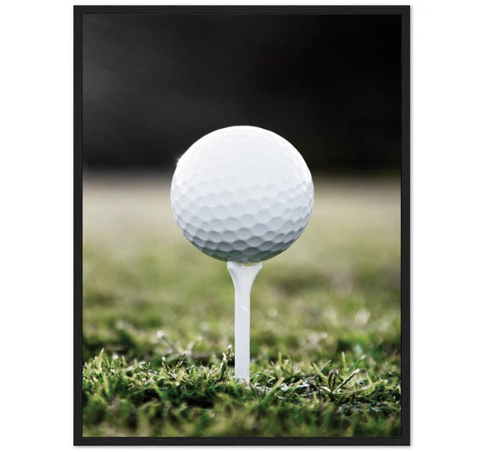 GOLF - BALL