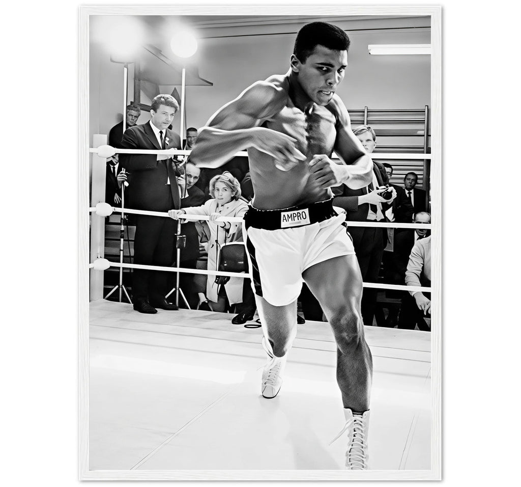BORN TO FIGHT ALI