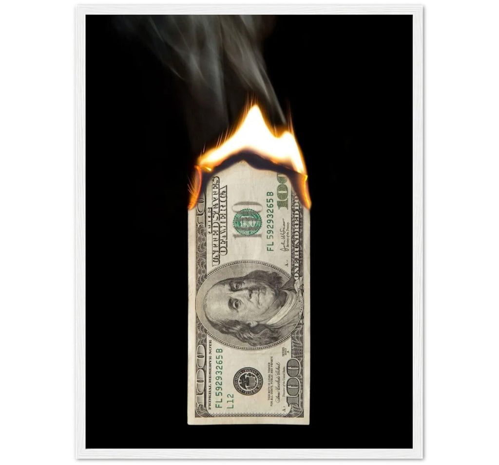 BURN DOLLAR